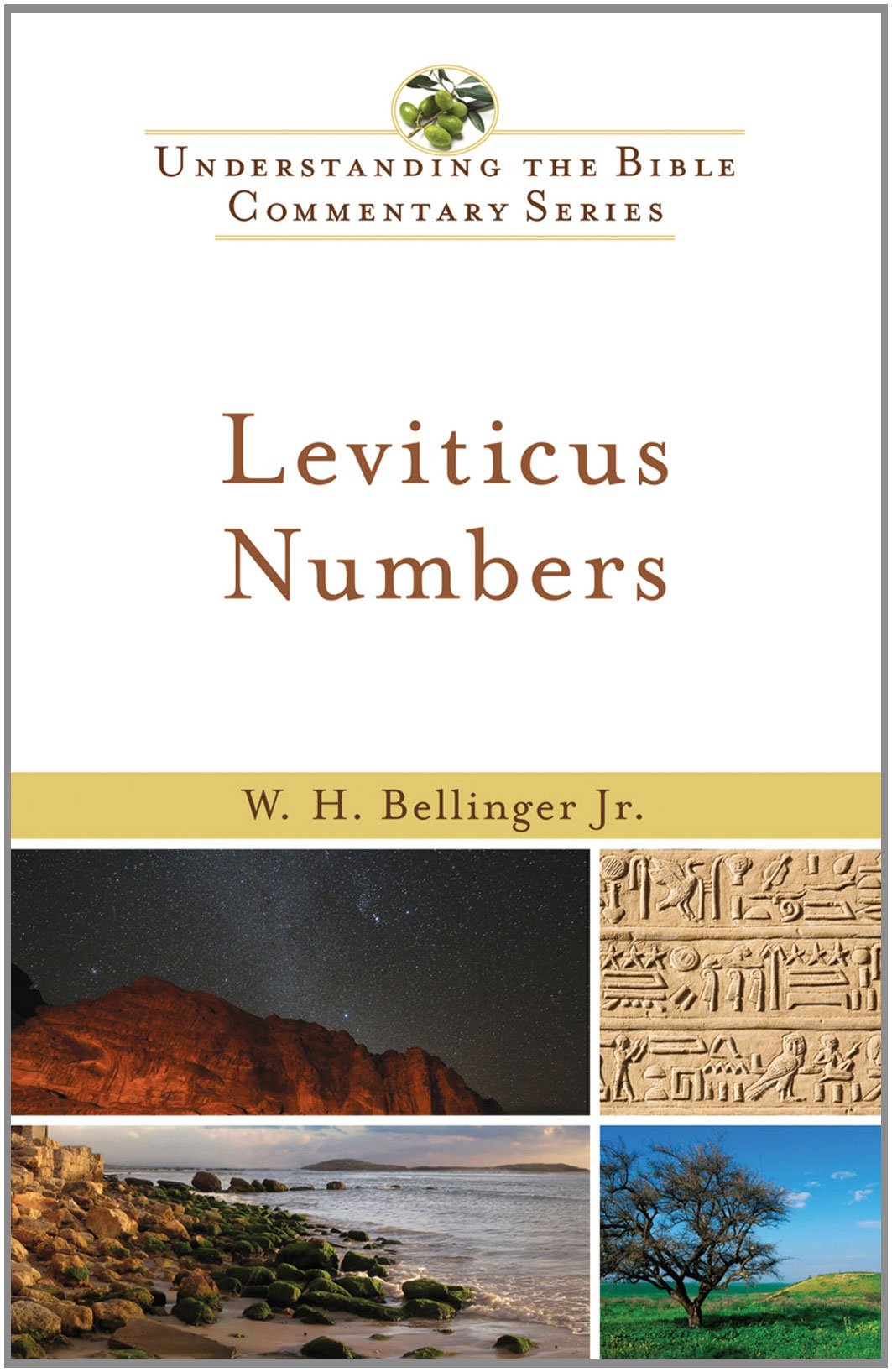 Leviticus Numbers (New International Biblical Commentary: Old Testament, Band 3) Religion & Esotericism