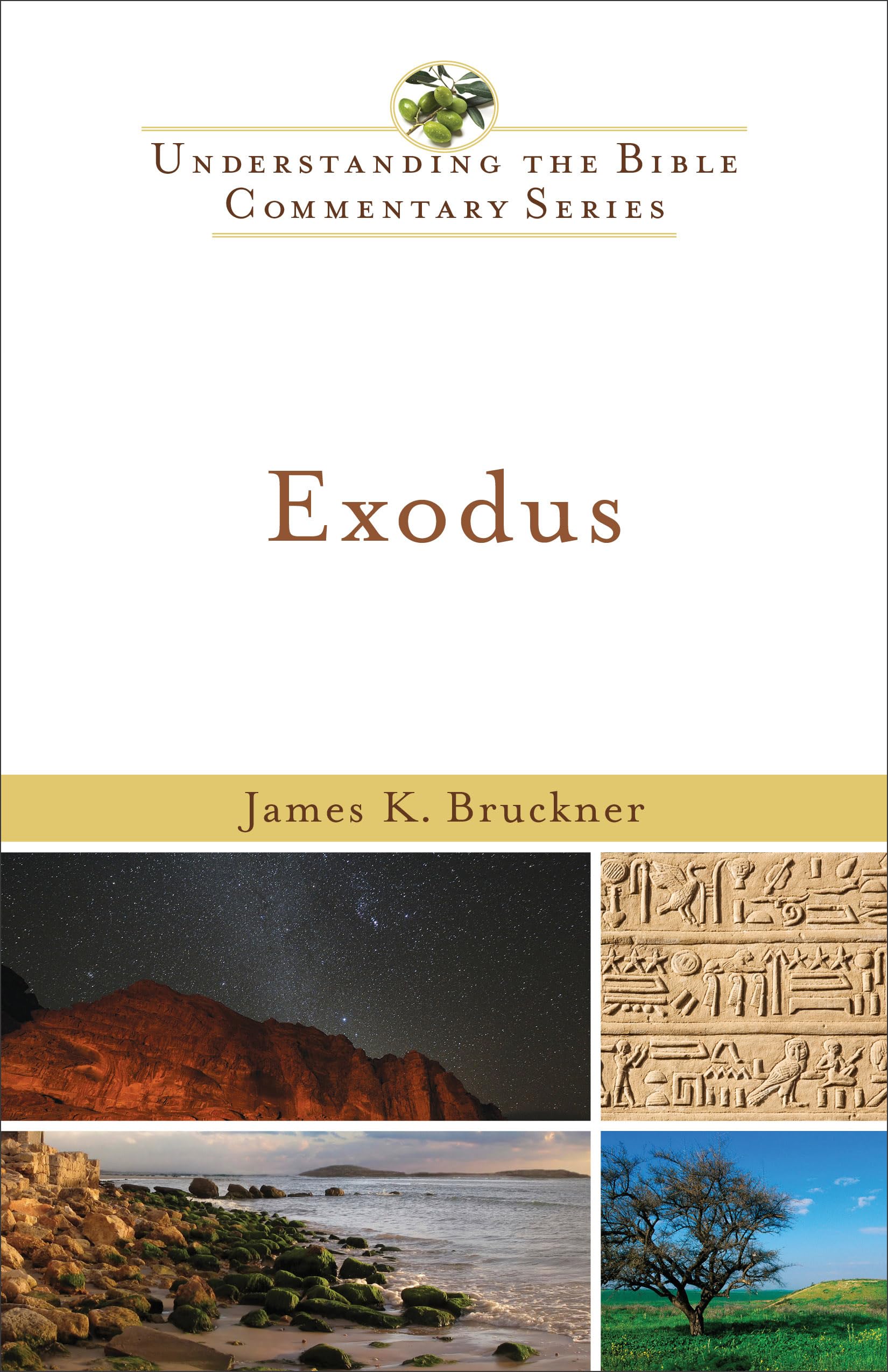 Exodus (New International Biblical Commentary, Old Testament Series, 2, Band 2) Social Sciences