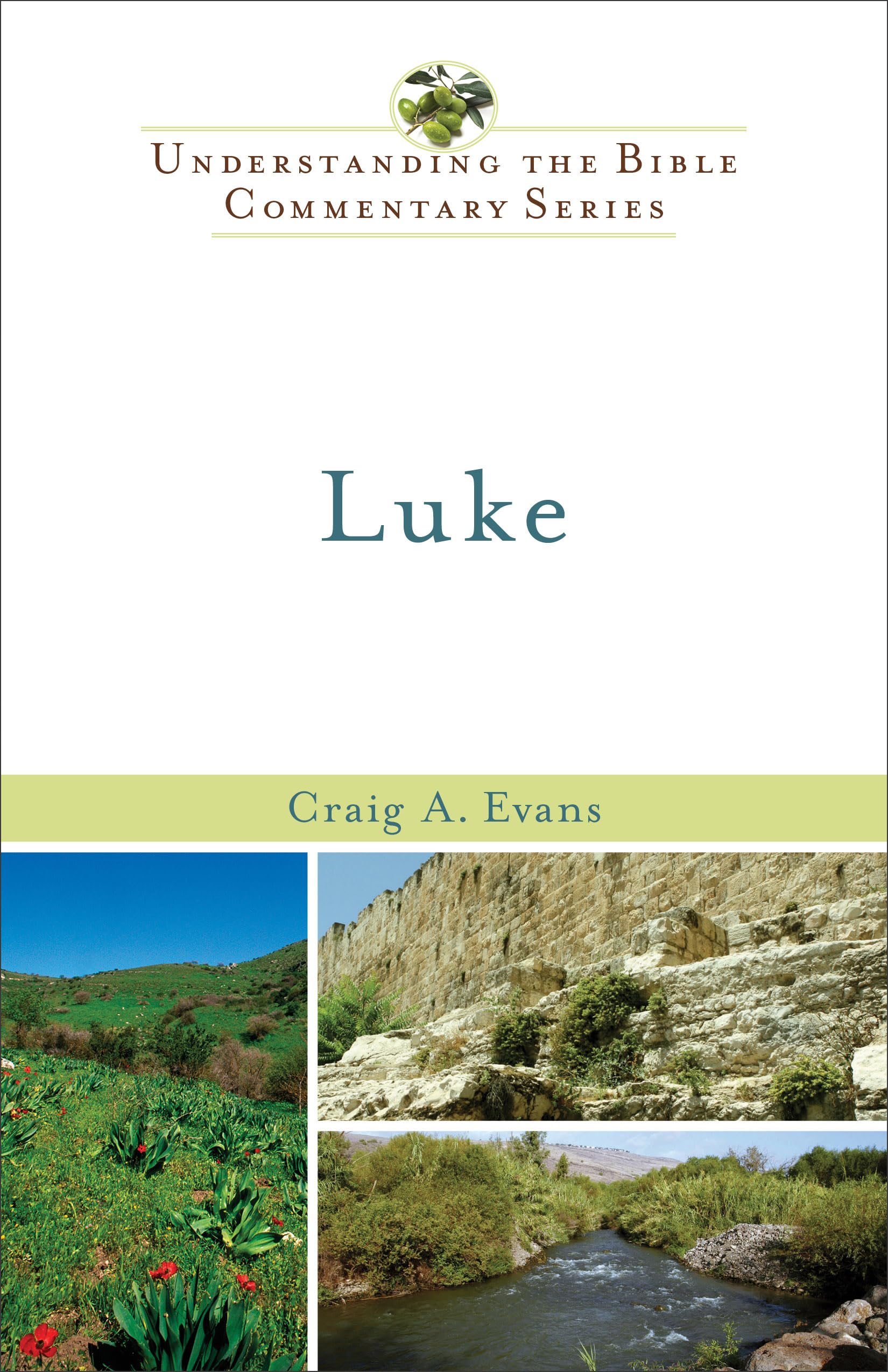 Luke (Understanding the Bible Commentary Series) (New International Biblical Commentary, Band 3) Religion & Esotericism