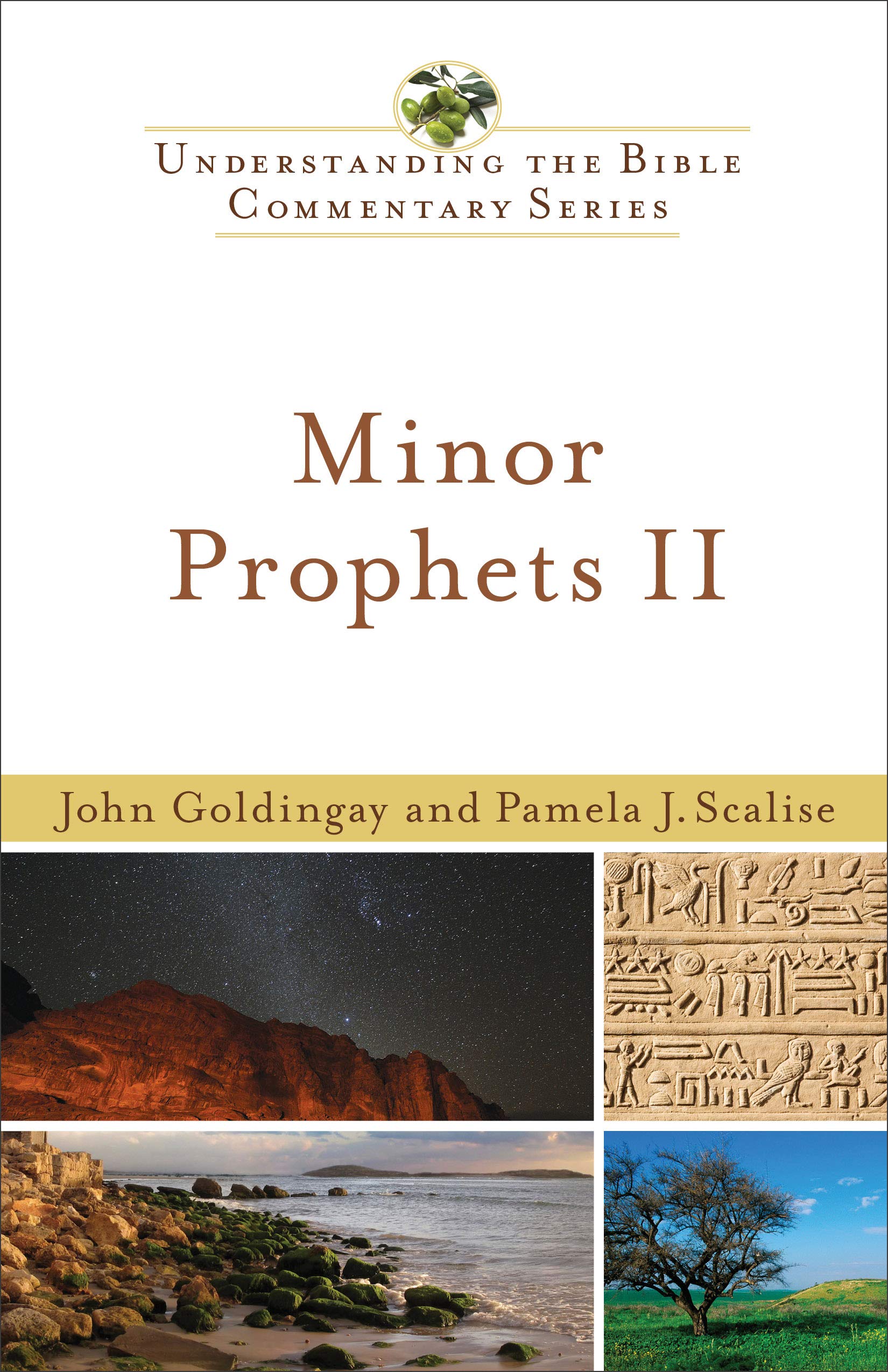 Minor Prophets II (Old Testament Series, New International Biblical Commentary, 18, Band 18) Religion & Esotericism