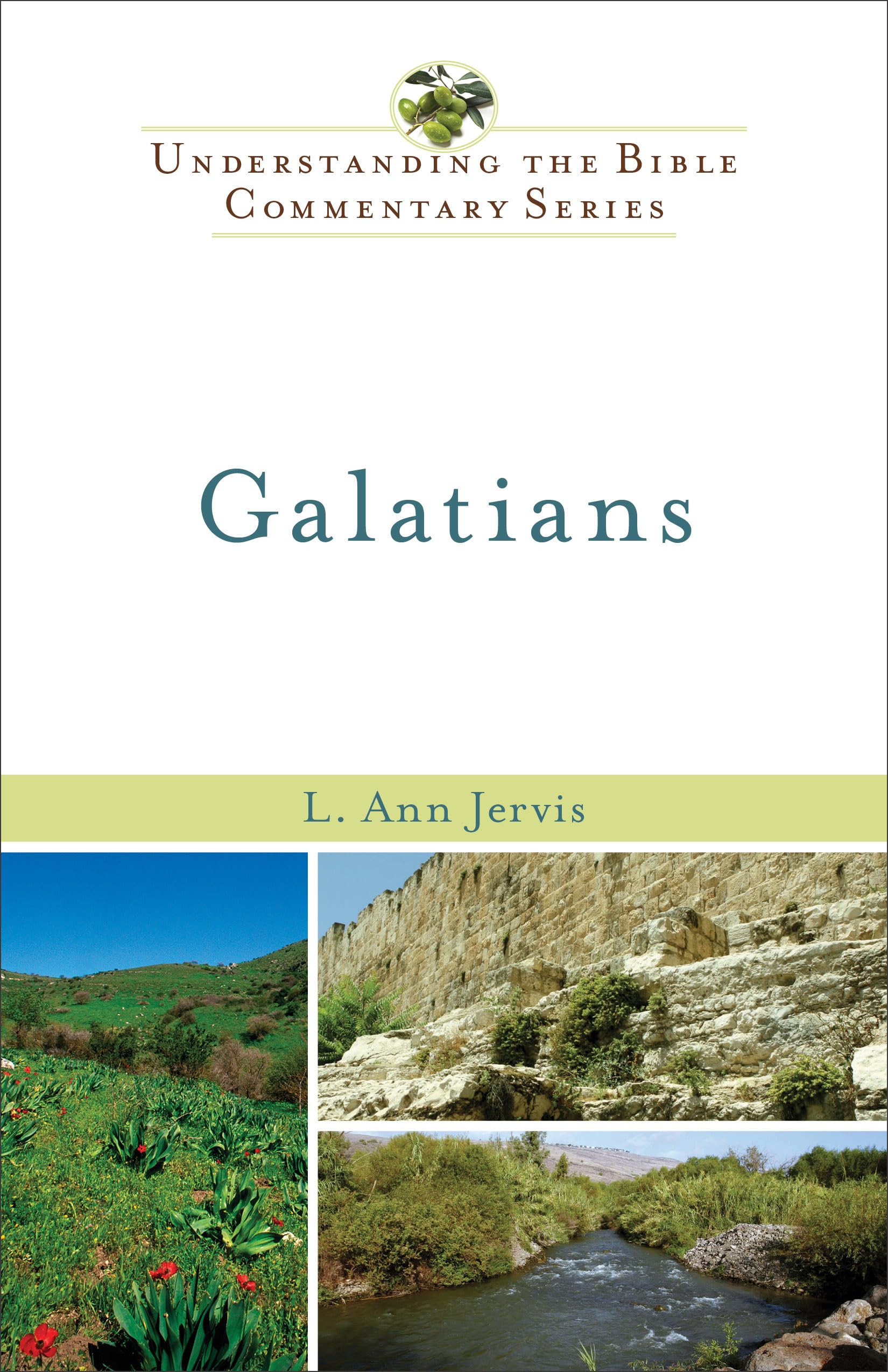 Galatians (New International Biblical Commentary; New Testament Series, Band 9) Religion & Esotericism