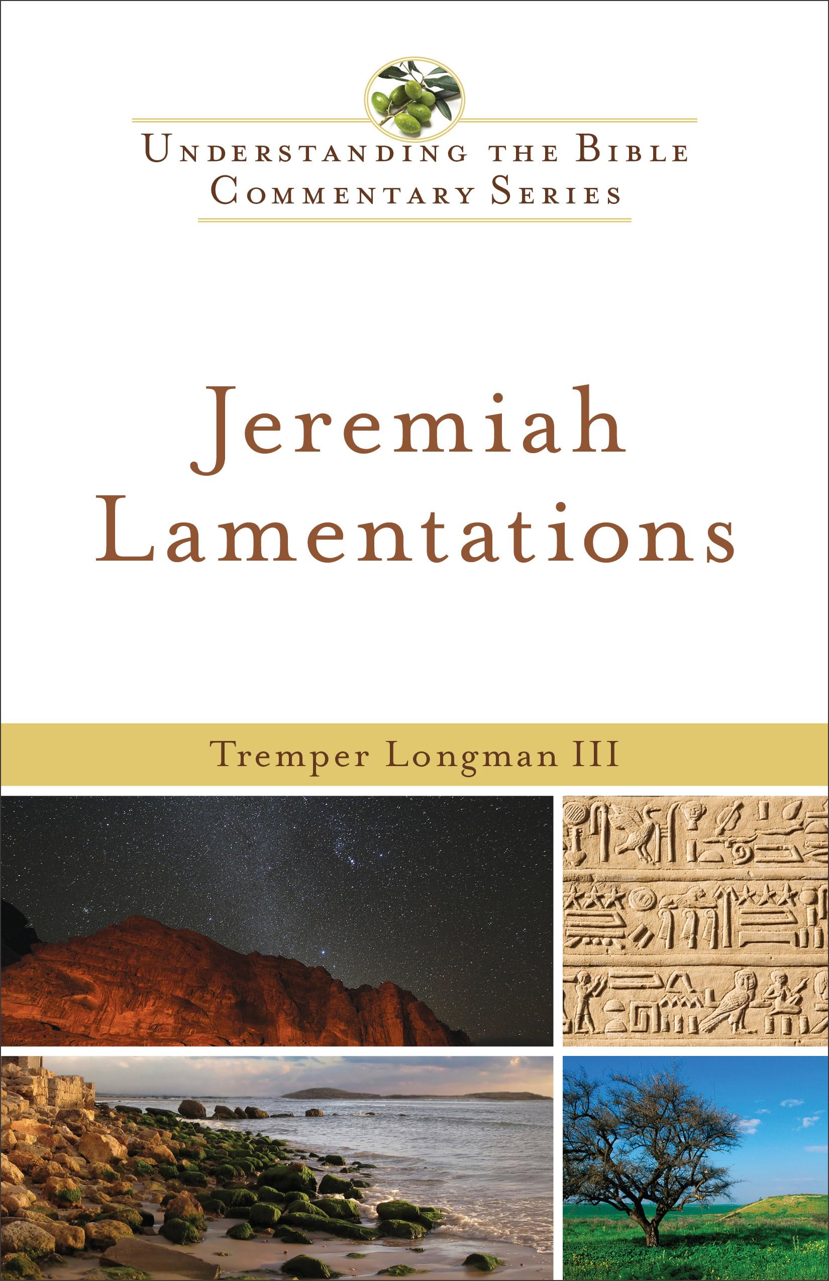 Jeremiah, Lamentations (New International Biblical Commentary: Old Testament Series, 14, Band 14) Religion & Esotericism