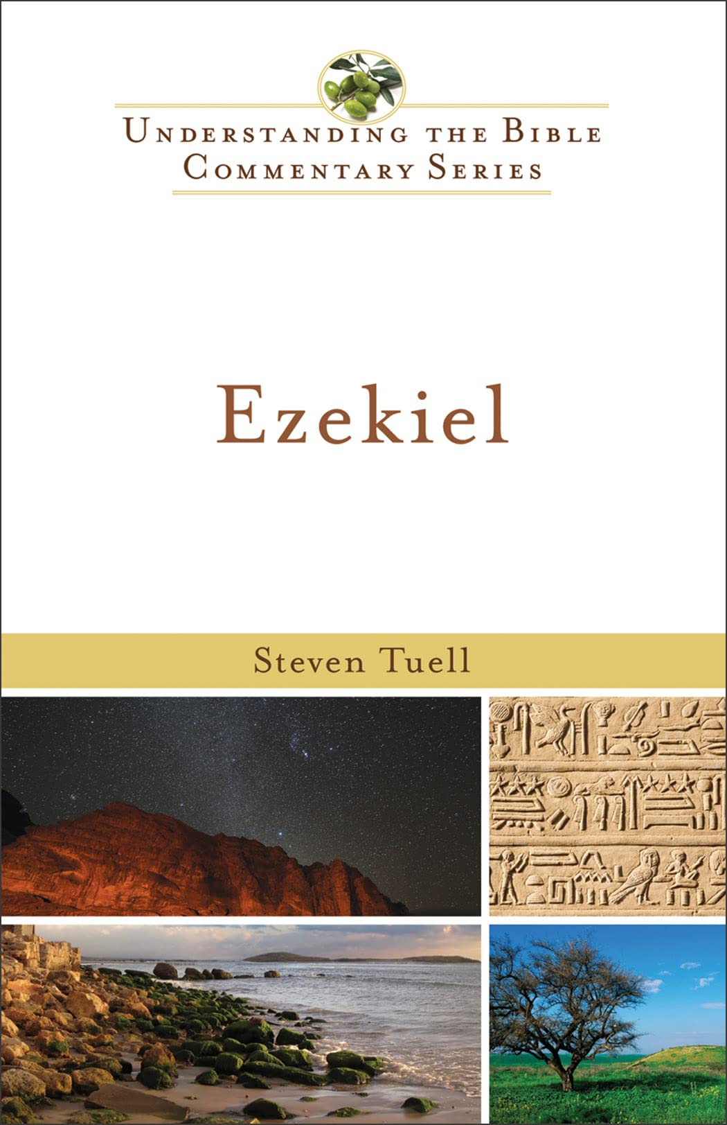 Ezekiel (New International Biblical Commentary, 15, Band 15) Religion & Esotericism