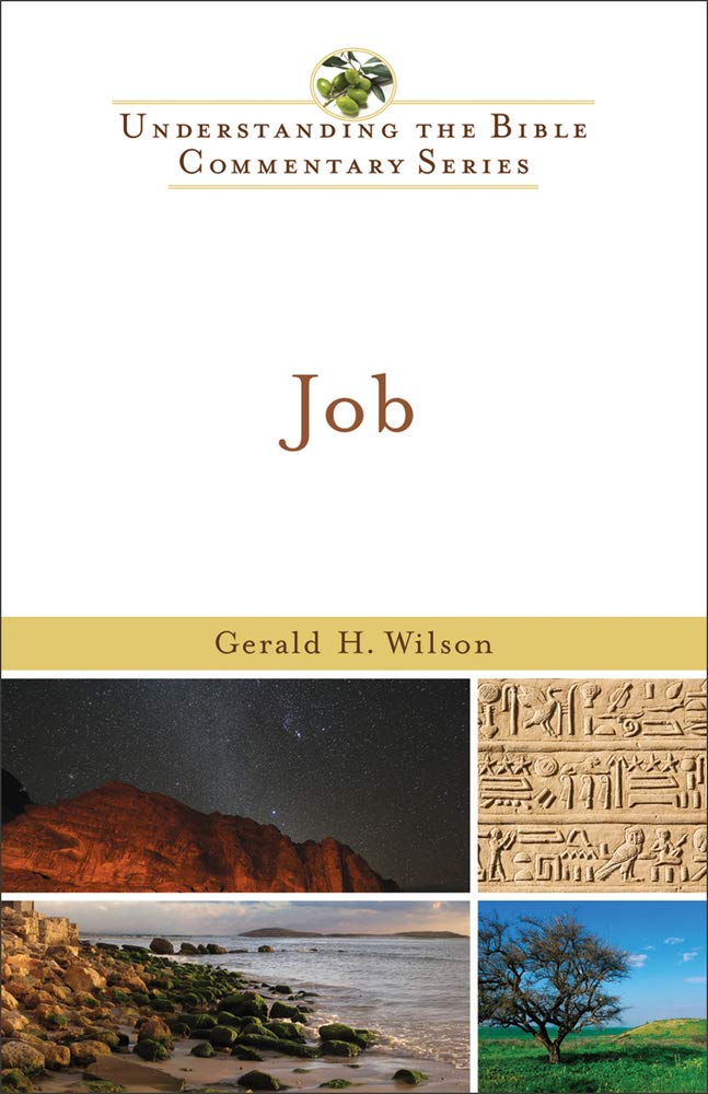 Job (Old Testament Series, 10, Band 10) Religion & Esotericism