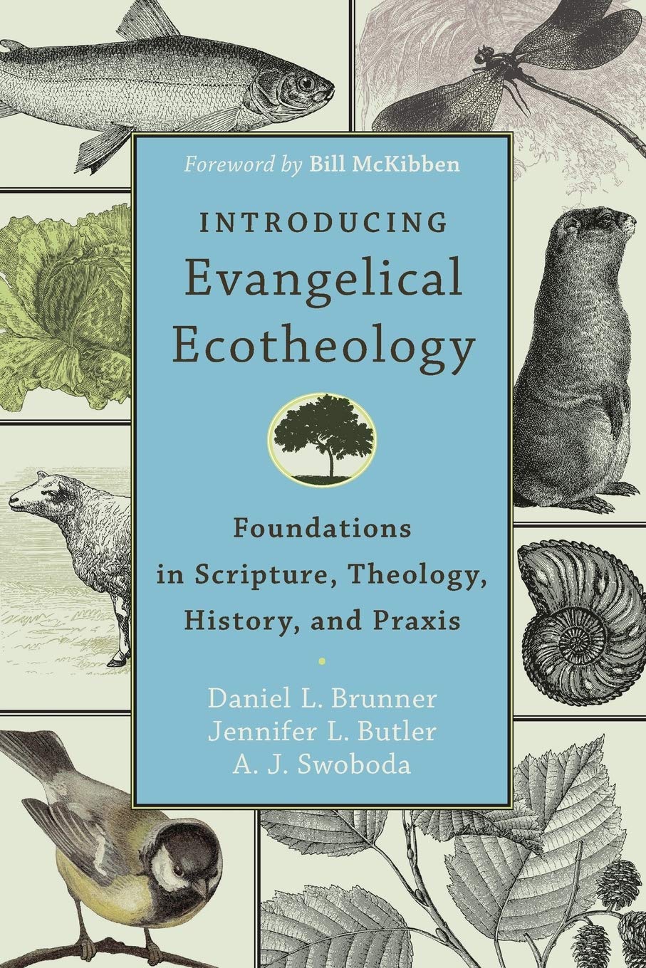 Product Image: Introducing Evangelical Ecotheology - Foundations in Scripture, Theology, History, and Praxis