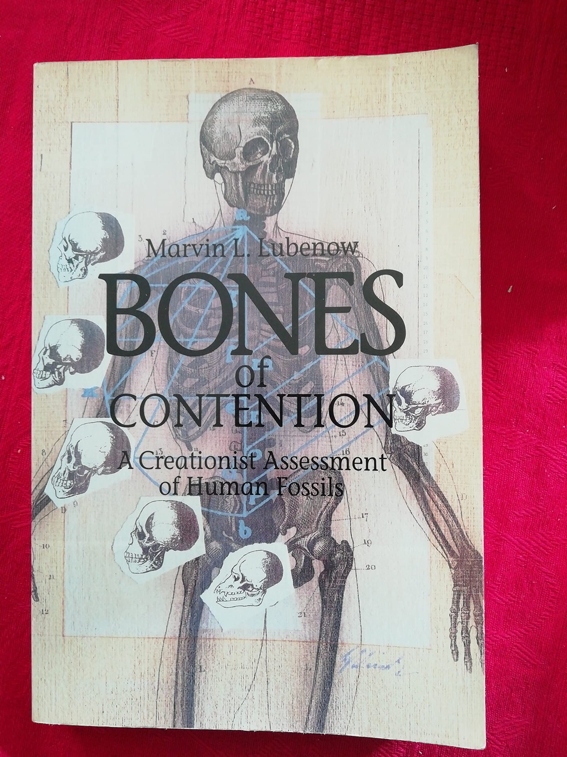 Bones of Contention: A Creationist Assessment of the Human Fossils Social Sciences