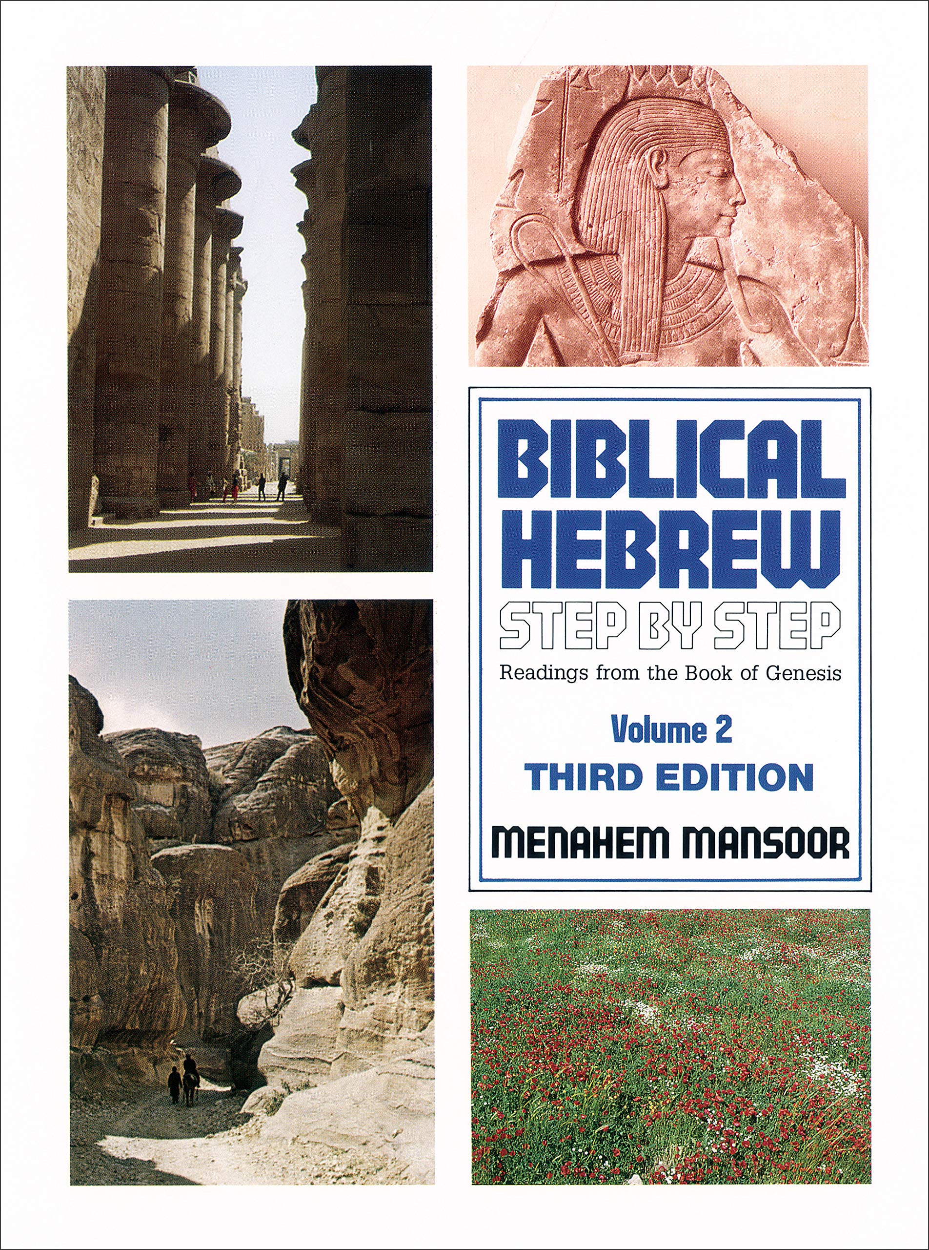 Biblical Hebrew Step by Step Social Sciences Books