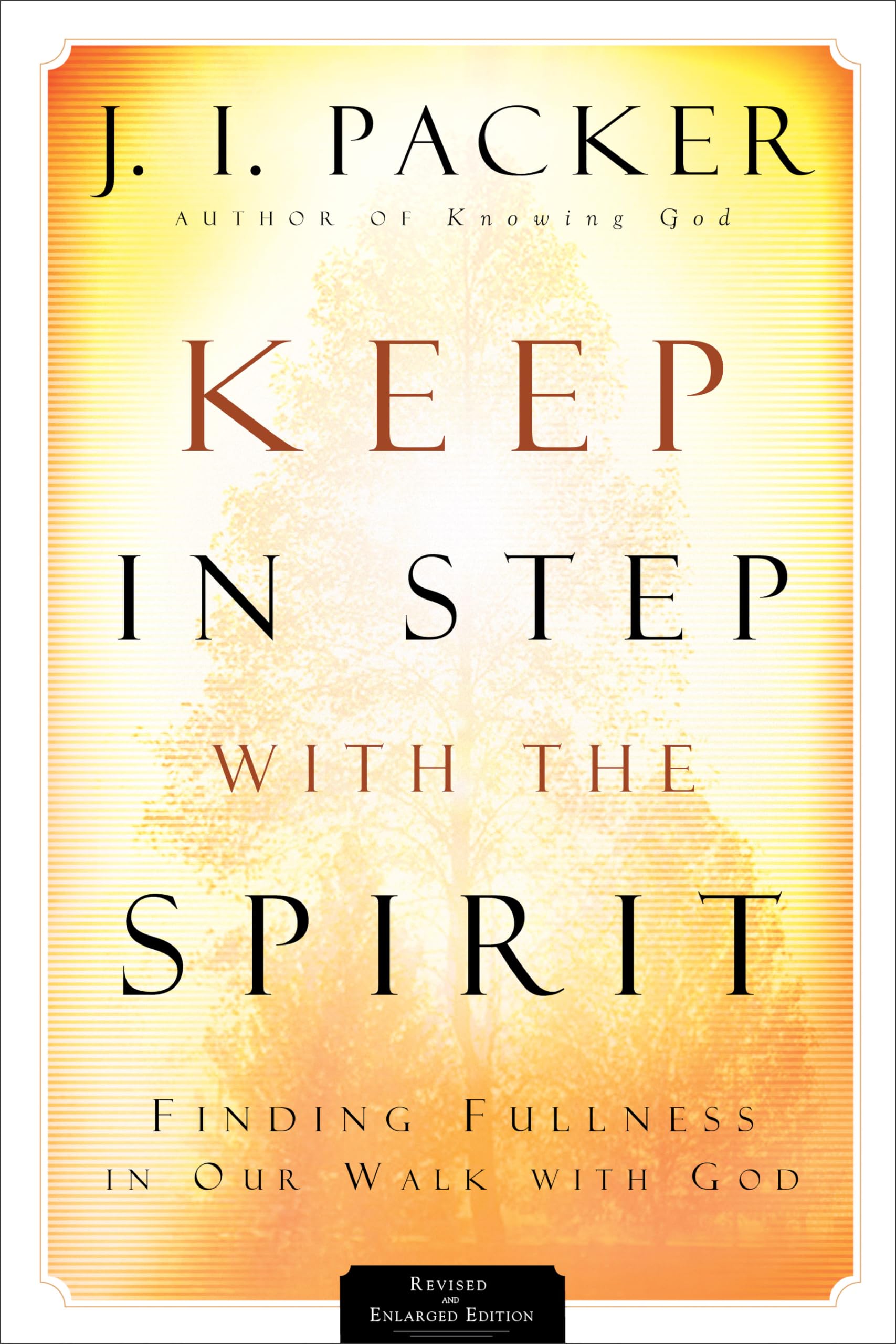 Keep in Step with the Spirit: Finding Fullness in Our Walk with God Social Sciences