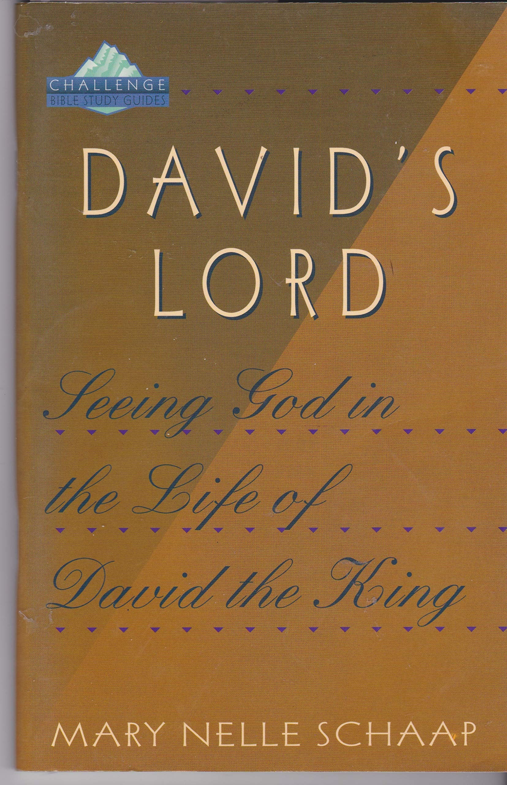 Title: Seeing God in the Life of David the King Challenge book