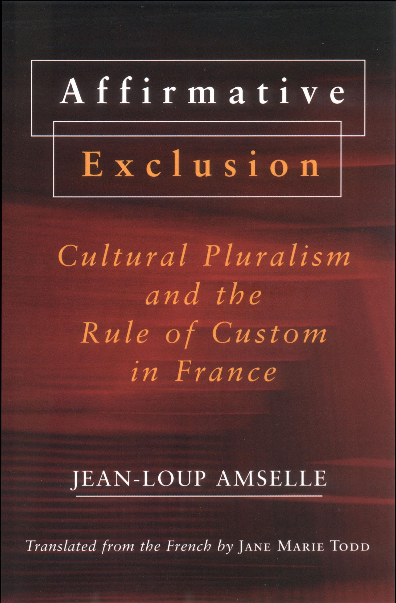 Affirmative Exclusion: Cultural Pluralism and the Rule of Custom in France Books