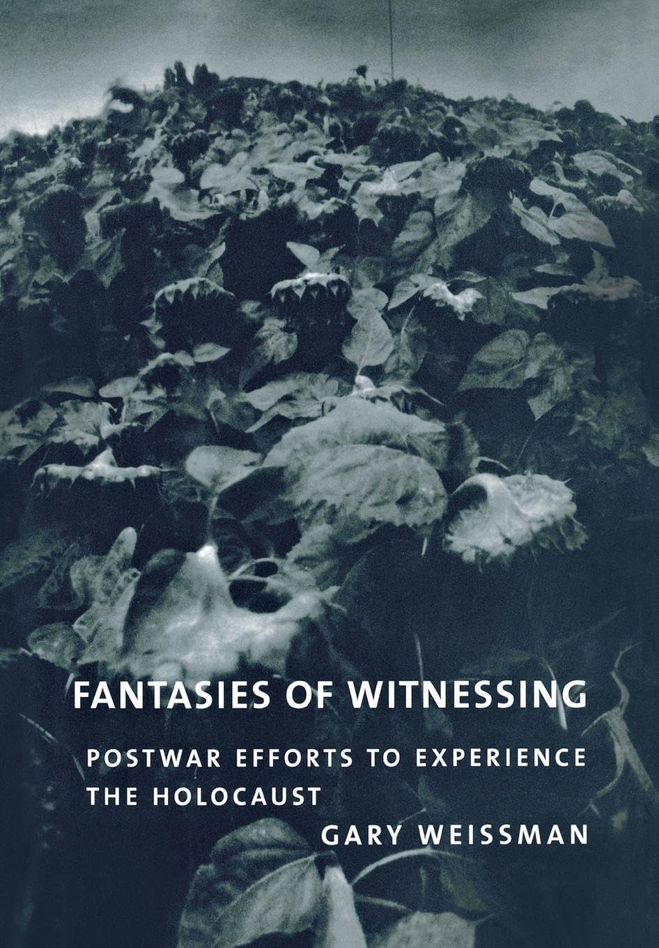 Fantasies of Witnessing Social Sciences
