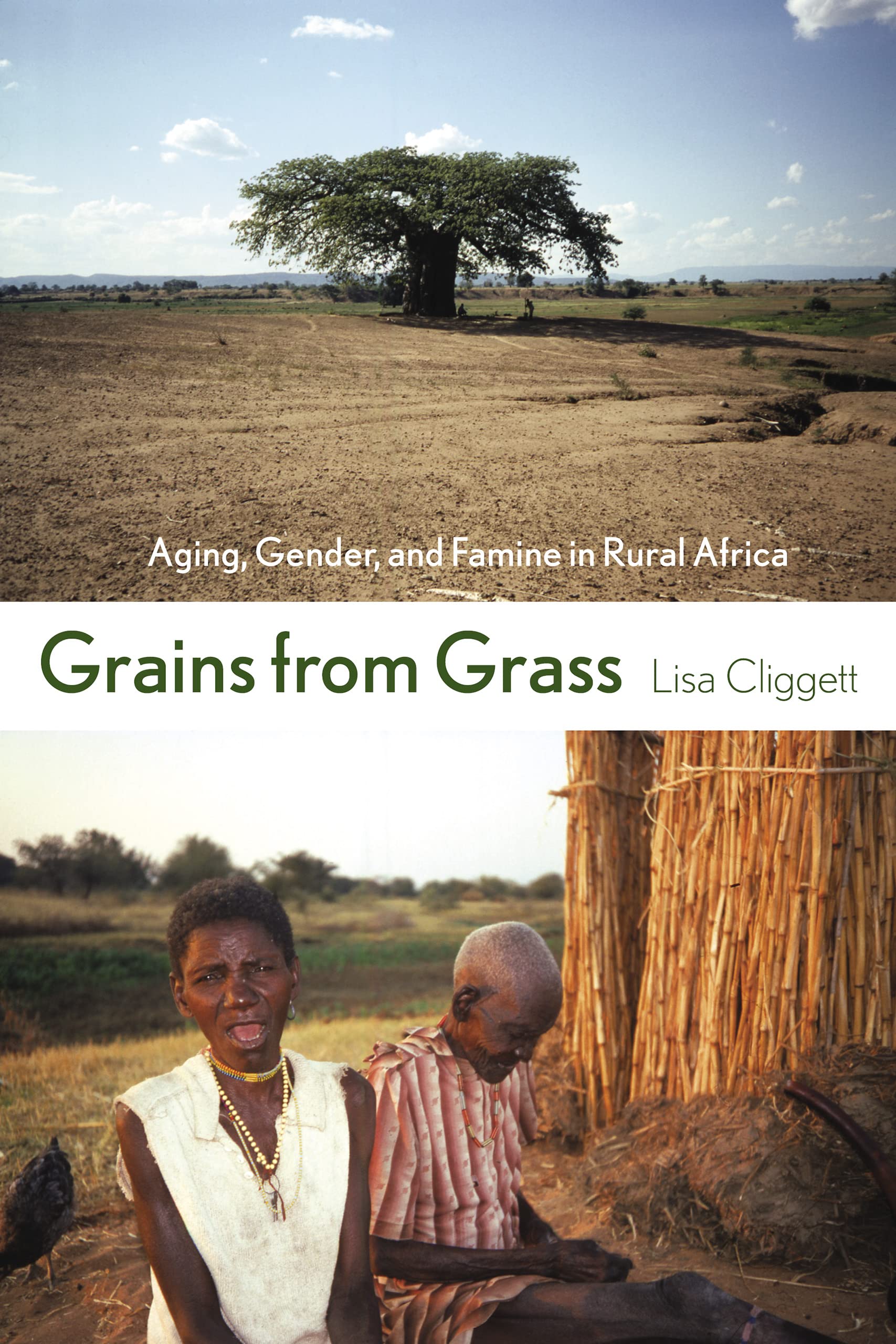 Grains from Grass: Aging, Gender, and Famine in Rural Africa General education
