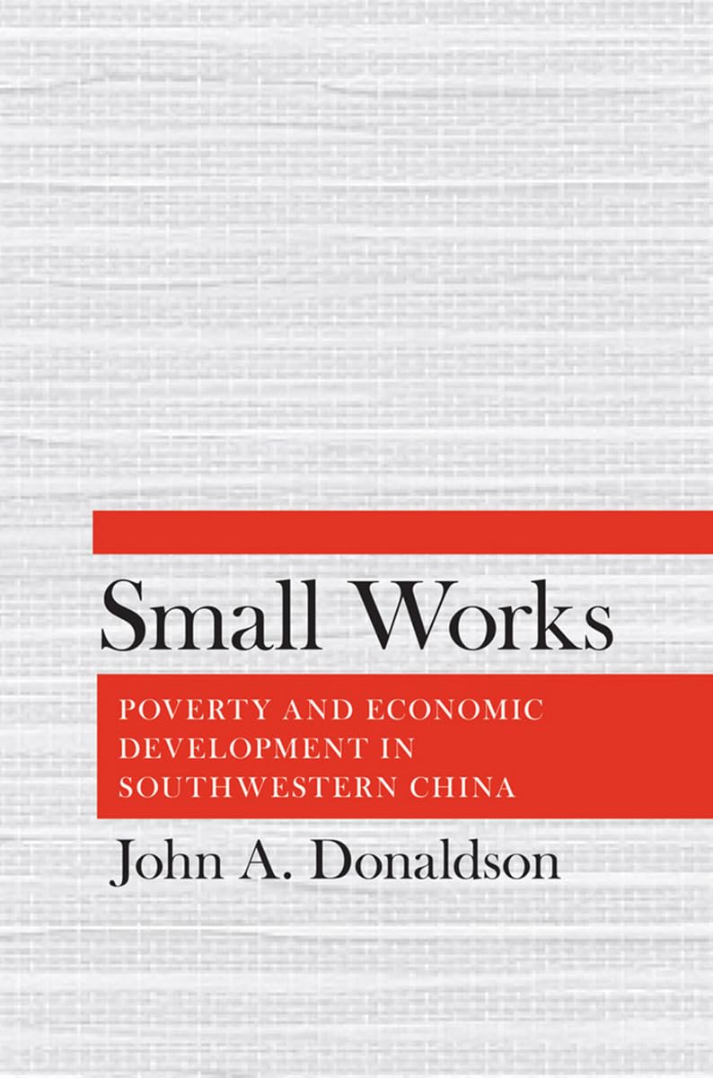 Small Works: Poverty and Economic Development in Southwestern China Business, Finance & Career