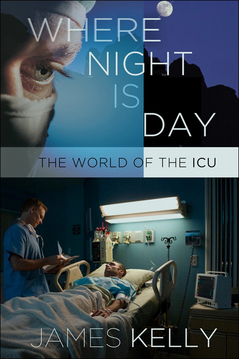 Where Night Is Day: The World of the ICU (The Culture and Politics of Health Care Work) Medicine