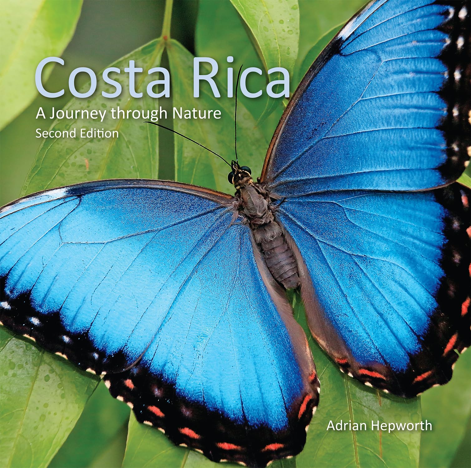 Costa Rica: A Journey Through Nature (Zona Tropical Publications) Mathematics