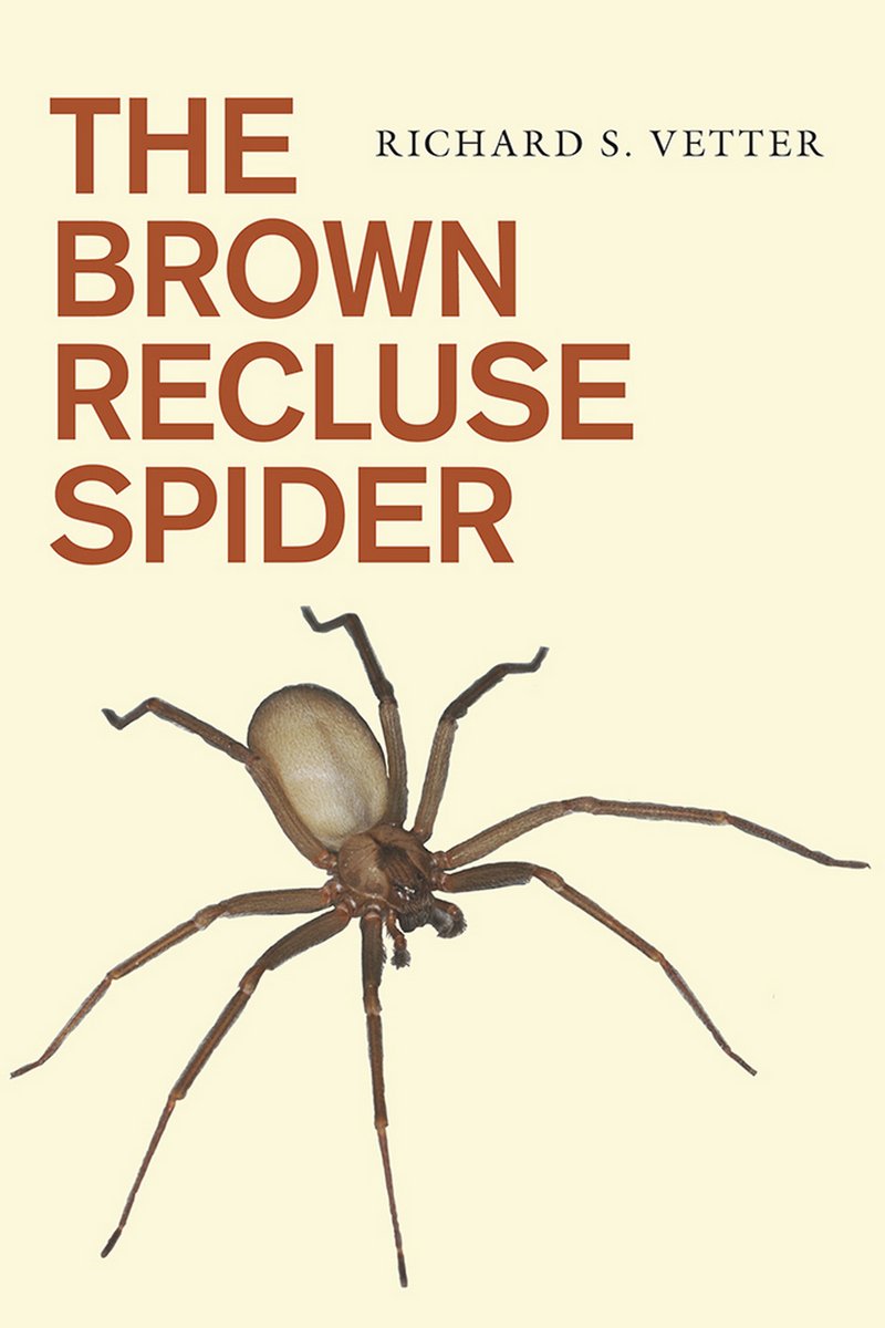 The Brown Recluse Spider Medicine