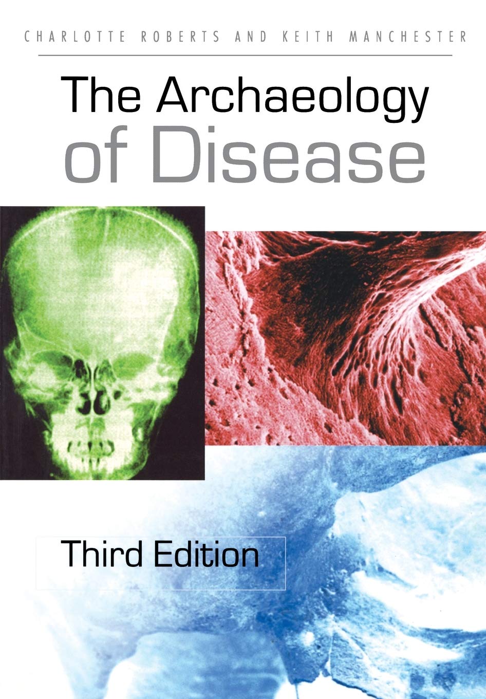 The Archaeology of Disease Medicine