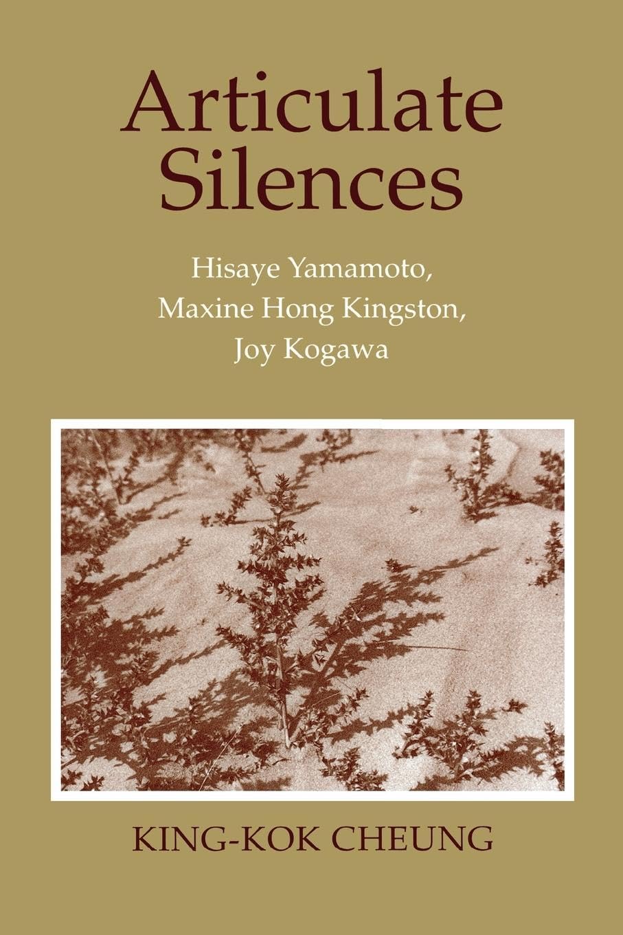 Articulate Silences: Hisaye Yamamoto, Maxine Hong Kingston, Joy Kogawa book