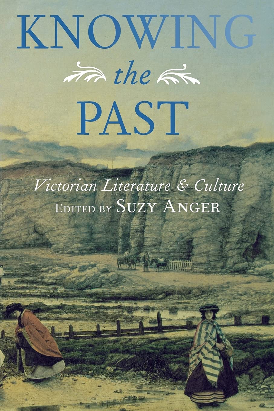 Knowing the Past: Victorian Literature and Culture Books