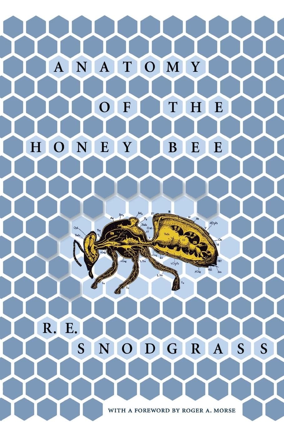 Anatomy of the Honey Bee Medicine