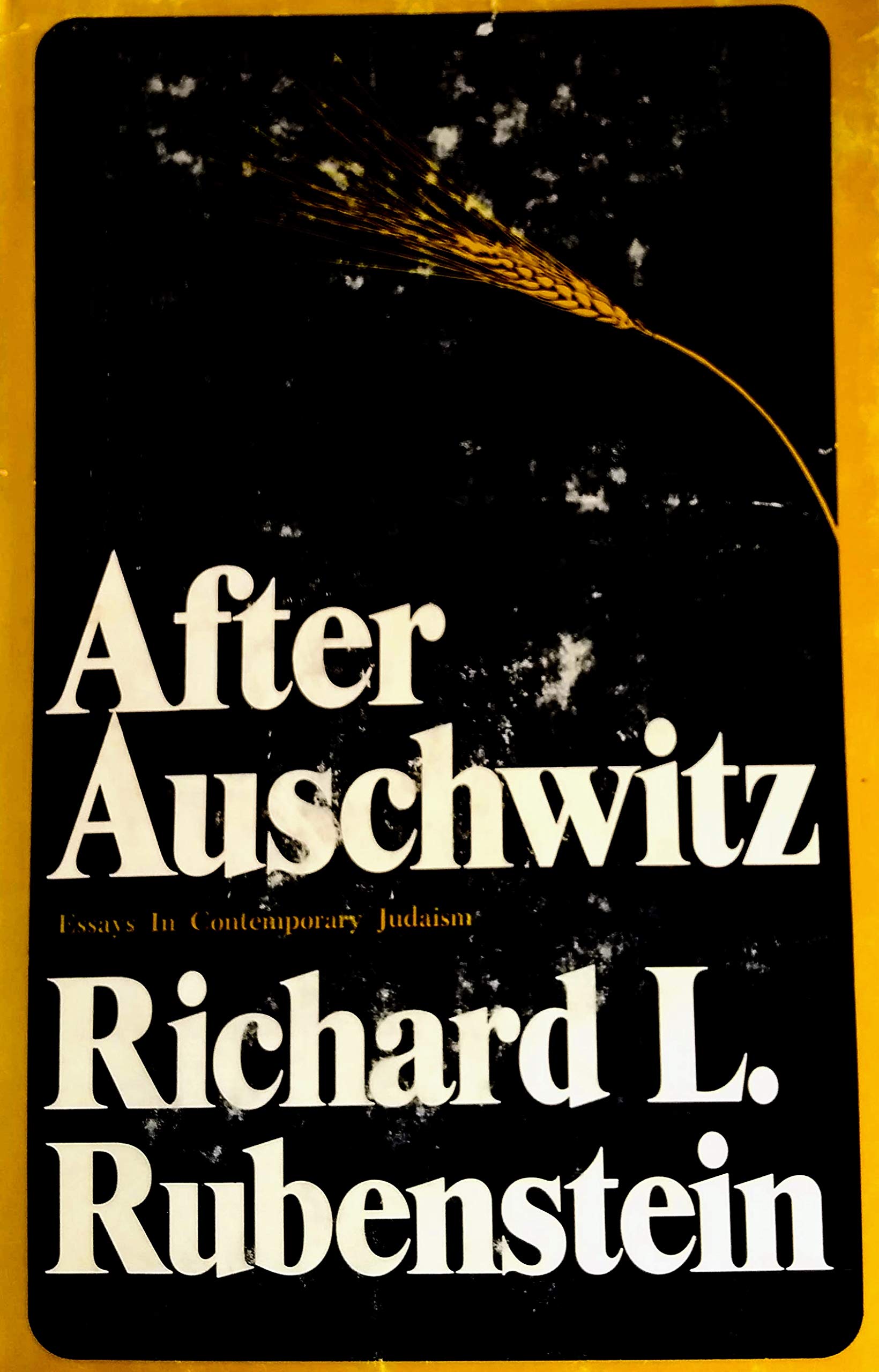 After Auschwitz: History, Theology, and Contemporary Judaism (Johns Hopkins Jewish Studies) German history