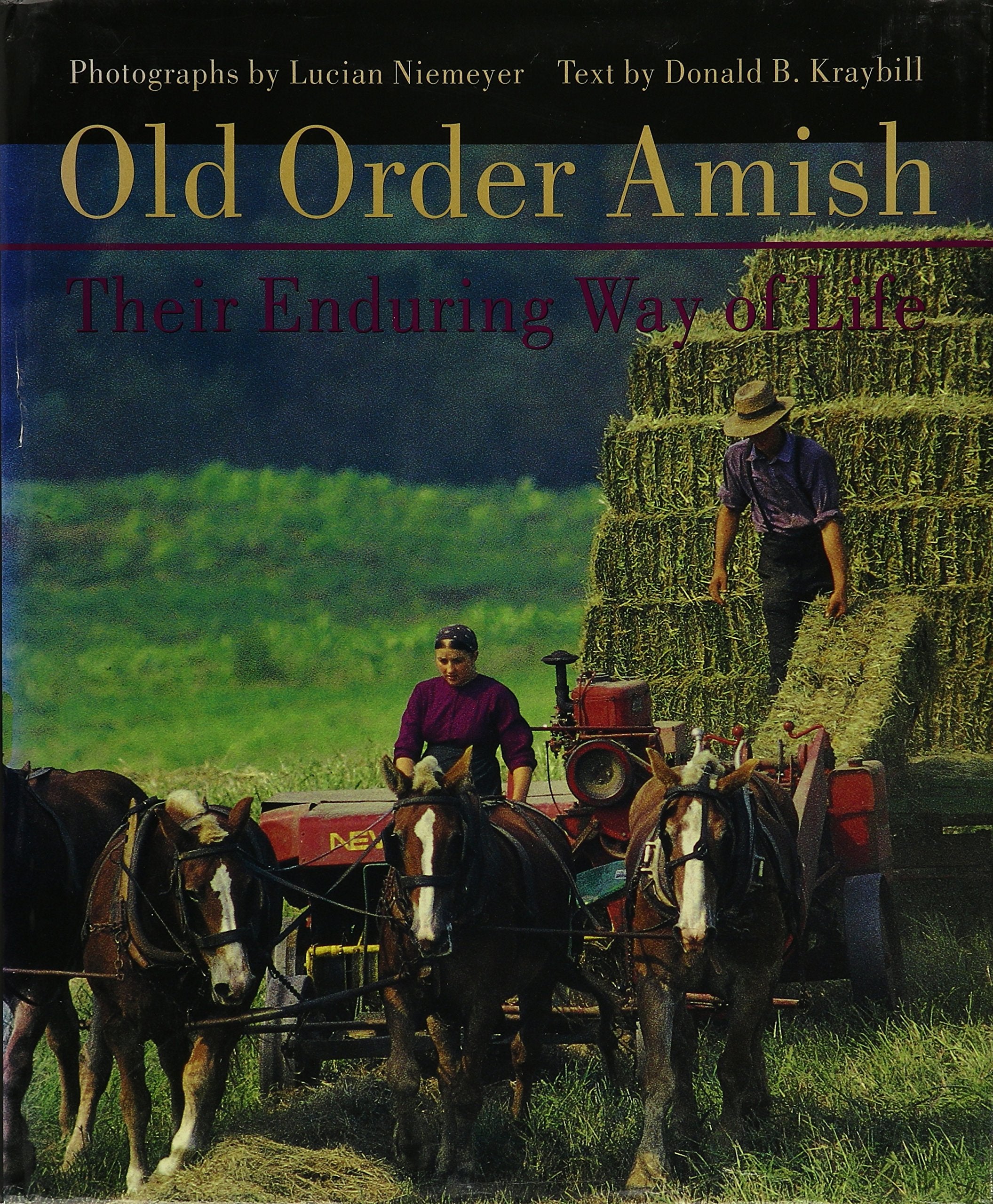Old Order Amish: Their Enduring Way of Life Religion & Esotericism