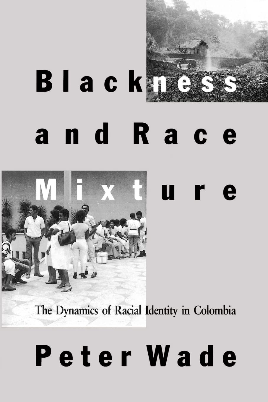 Blackness and Race Mixture: The Dynamics of Racial Identity in Colombia (Johns Hopkins Studies in Atlantic History and Culture) Books