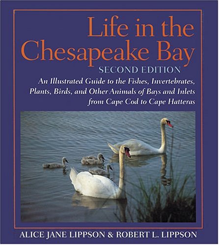 Life in the Chesapeake Bay Mathematics