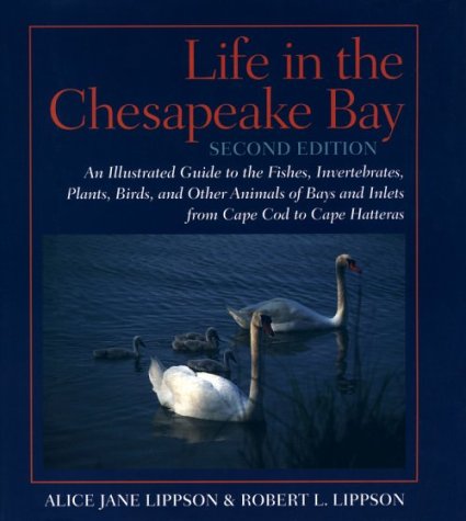 Life in the Chesapeake Bay Mathematics