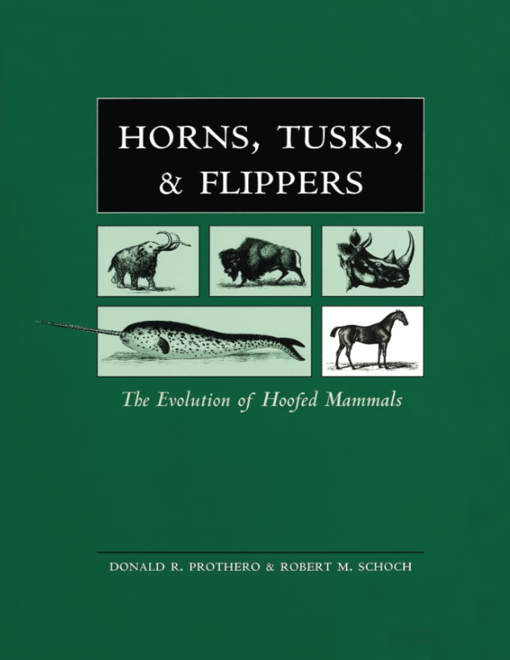 Horns, Tusks, and Flippers: The Evolution of Hoofed Mammals Mathematics