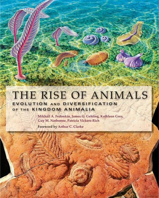 The Rise of Animals: Evolution and Diversification of the Kingdom Animalia Business & Technology