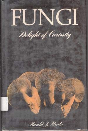 Fungi: Delight of Curiosity Business & Technology