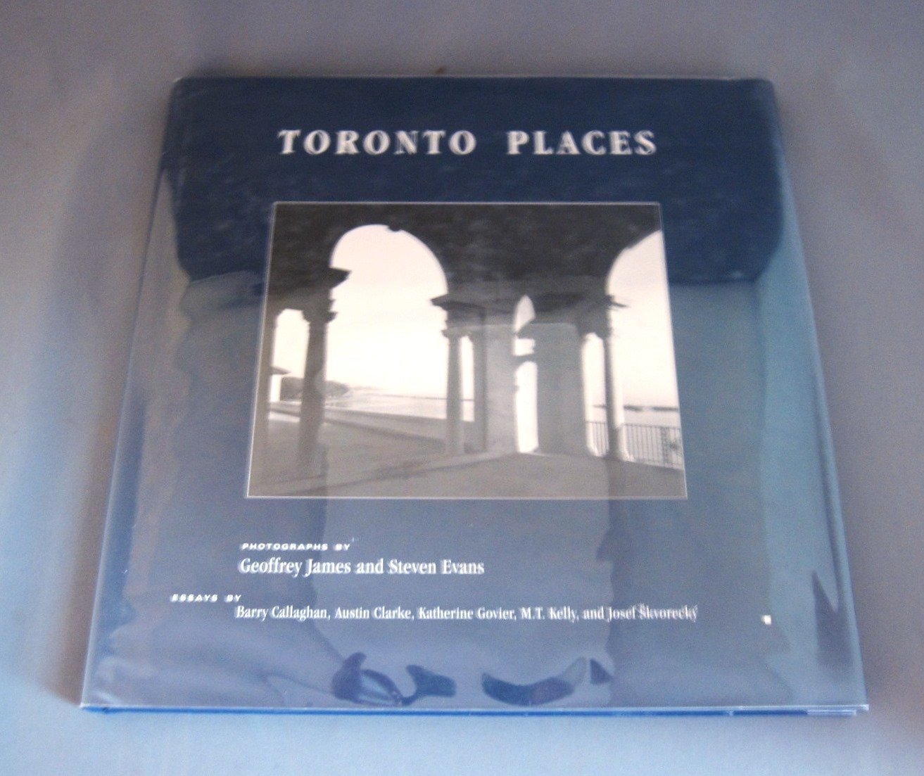 Toronto Places: A Context for Urban Design Architecture
