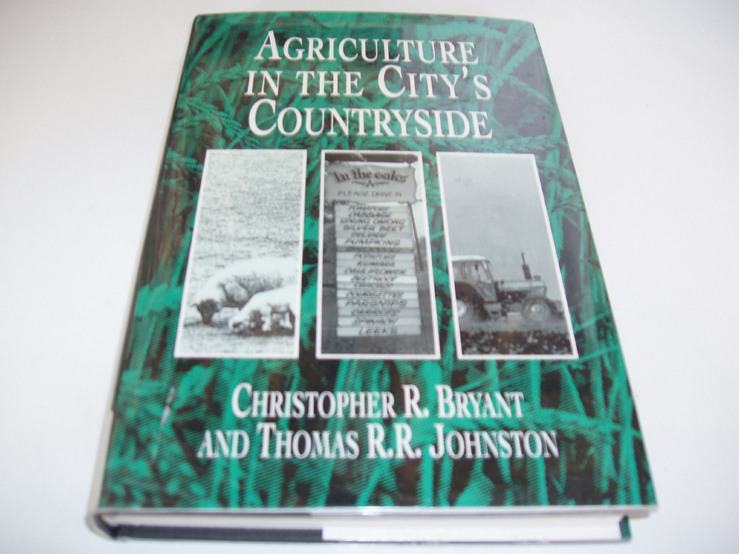 Agriculture in the City's Countryside Business & Technology