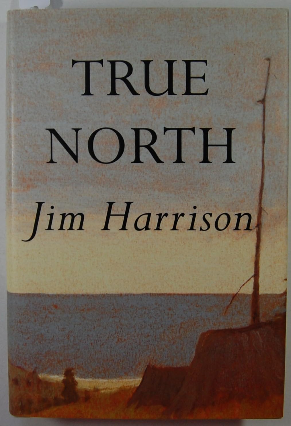 Product Image: True North: A Novel