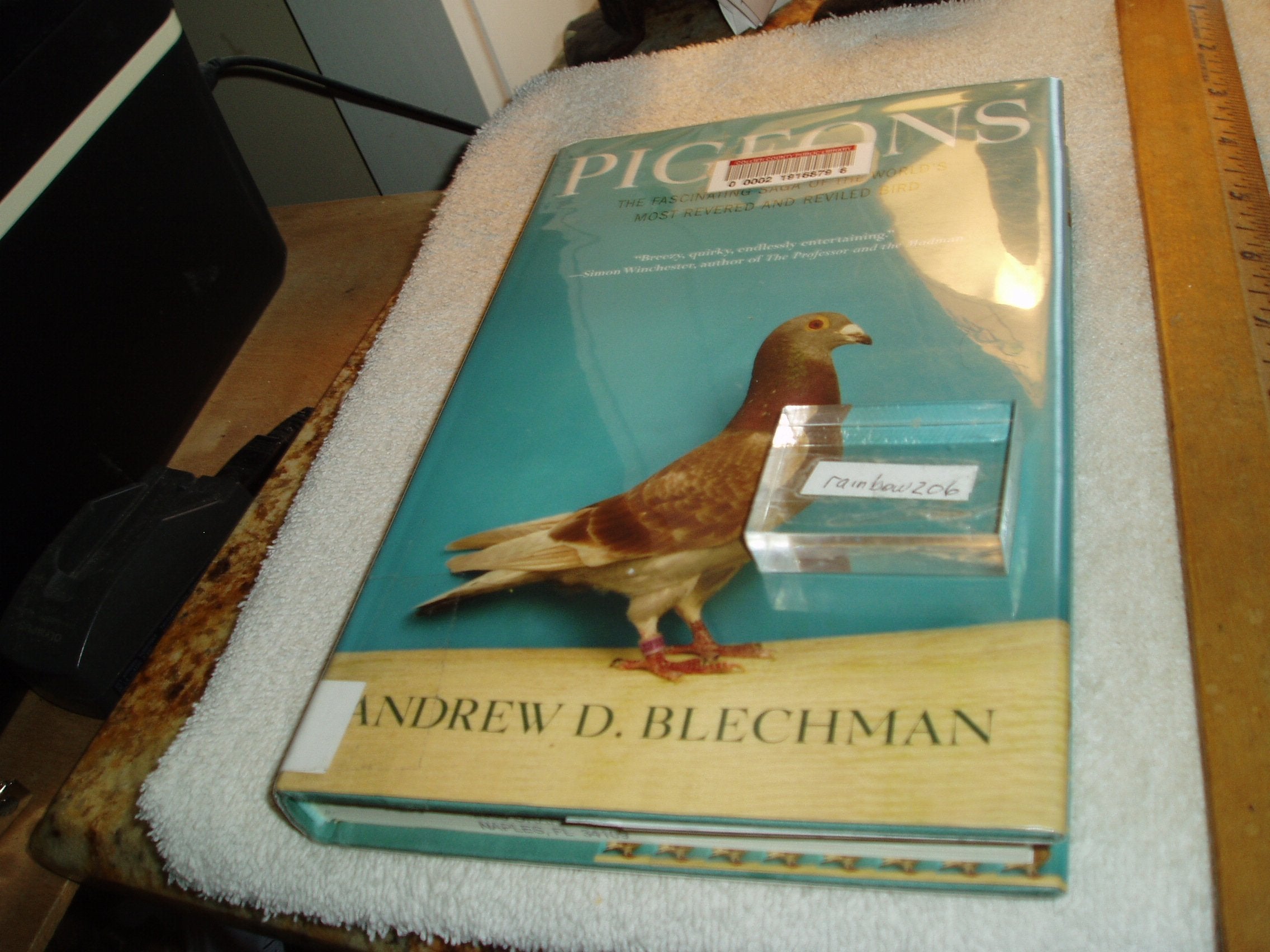 Pigeons: The Fascinating Saga of the World's Most Revered and Reviled Bird Mathematics