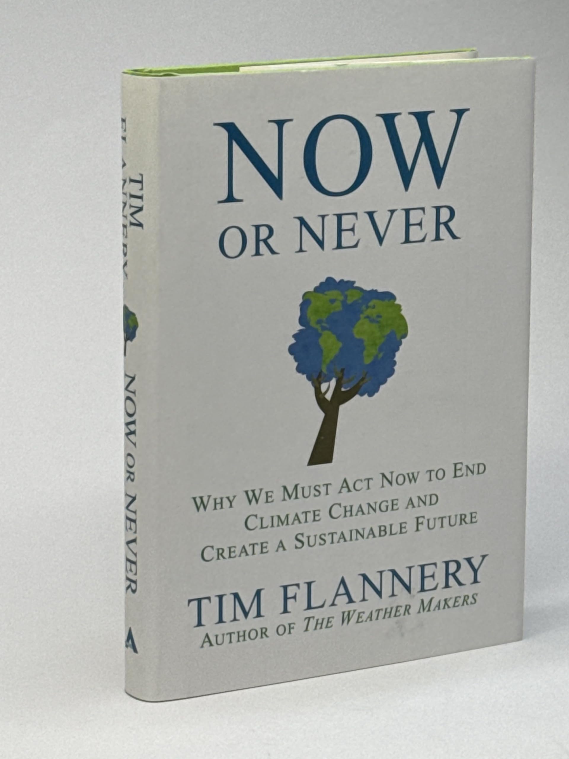 Now or Never: Why We Must Act Now to End Climate Change and Create a Sustainable Future Business, Finance & Career