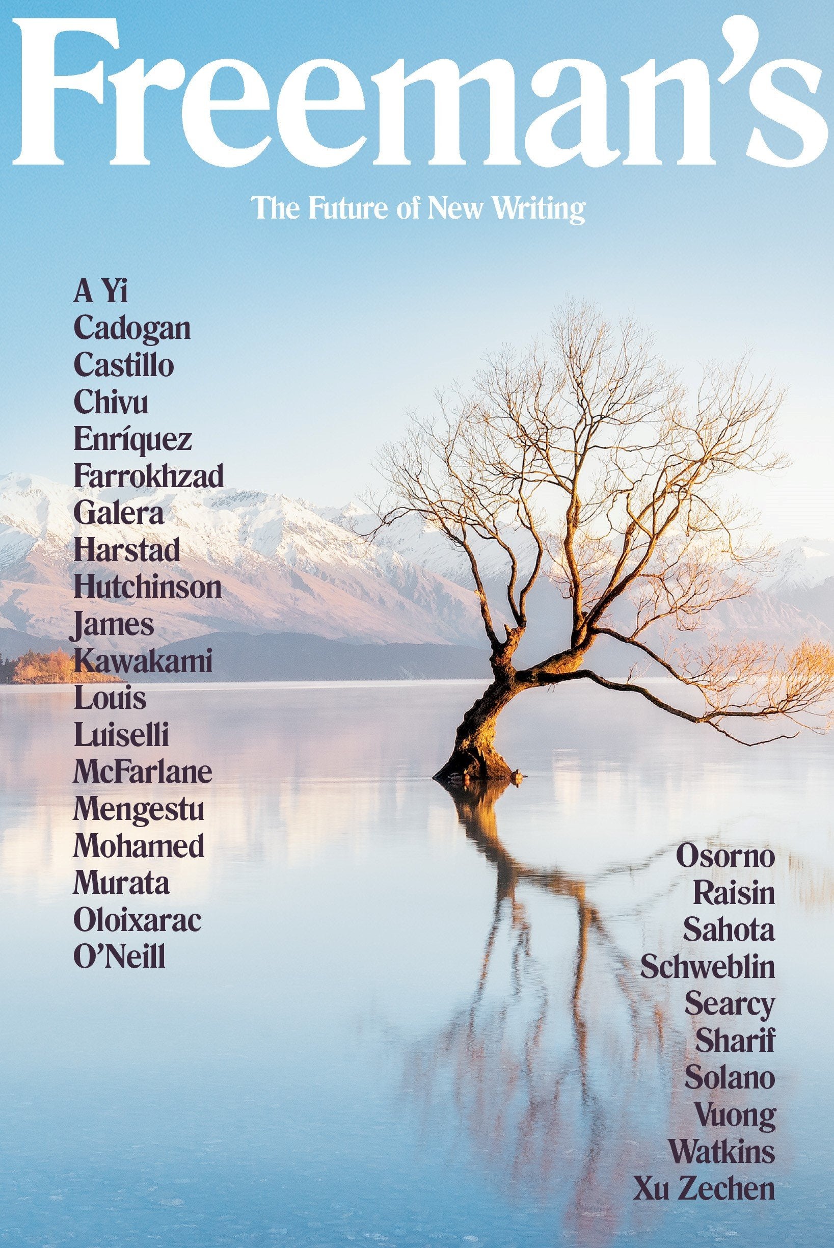 Freeman's: The Future of New Writing (Freeman's, 4, Band 4) Contemporary literature