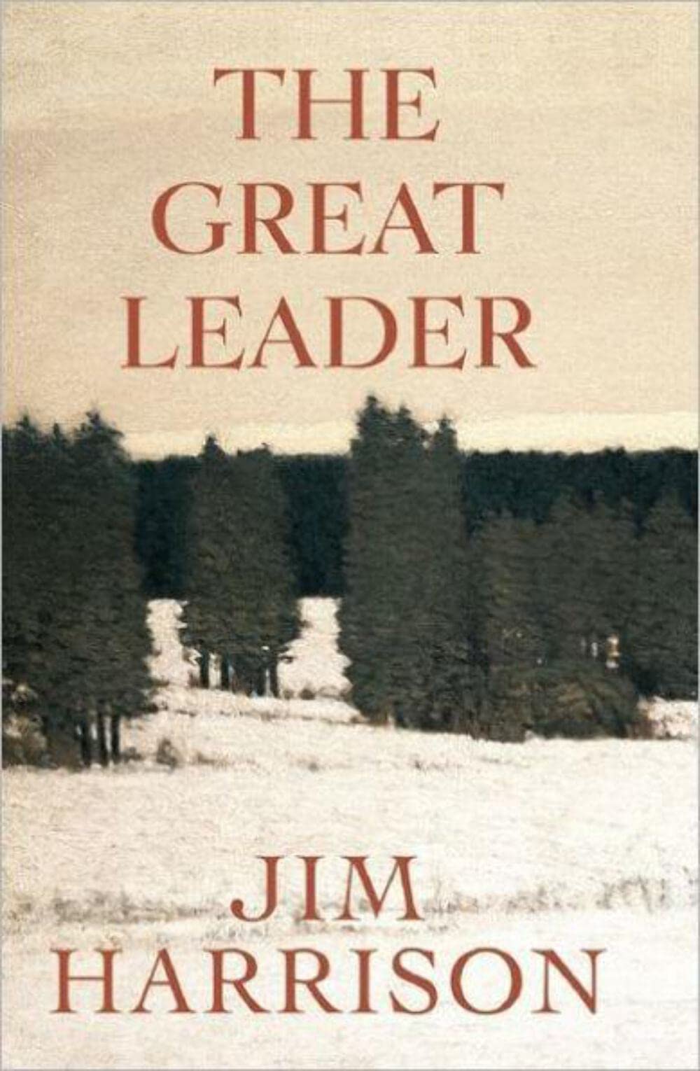 Great Leader: A Faux Mystery Contemporary literature