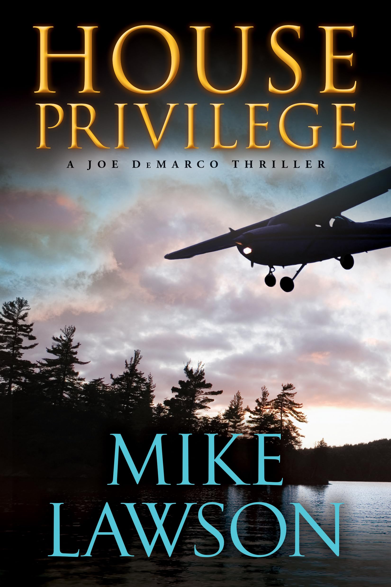 House Privilege: A Joe DeMarco Thriller (Joe Demarco, 14, Band 14) Action & Adventure