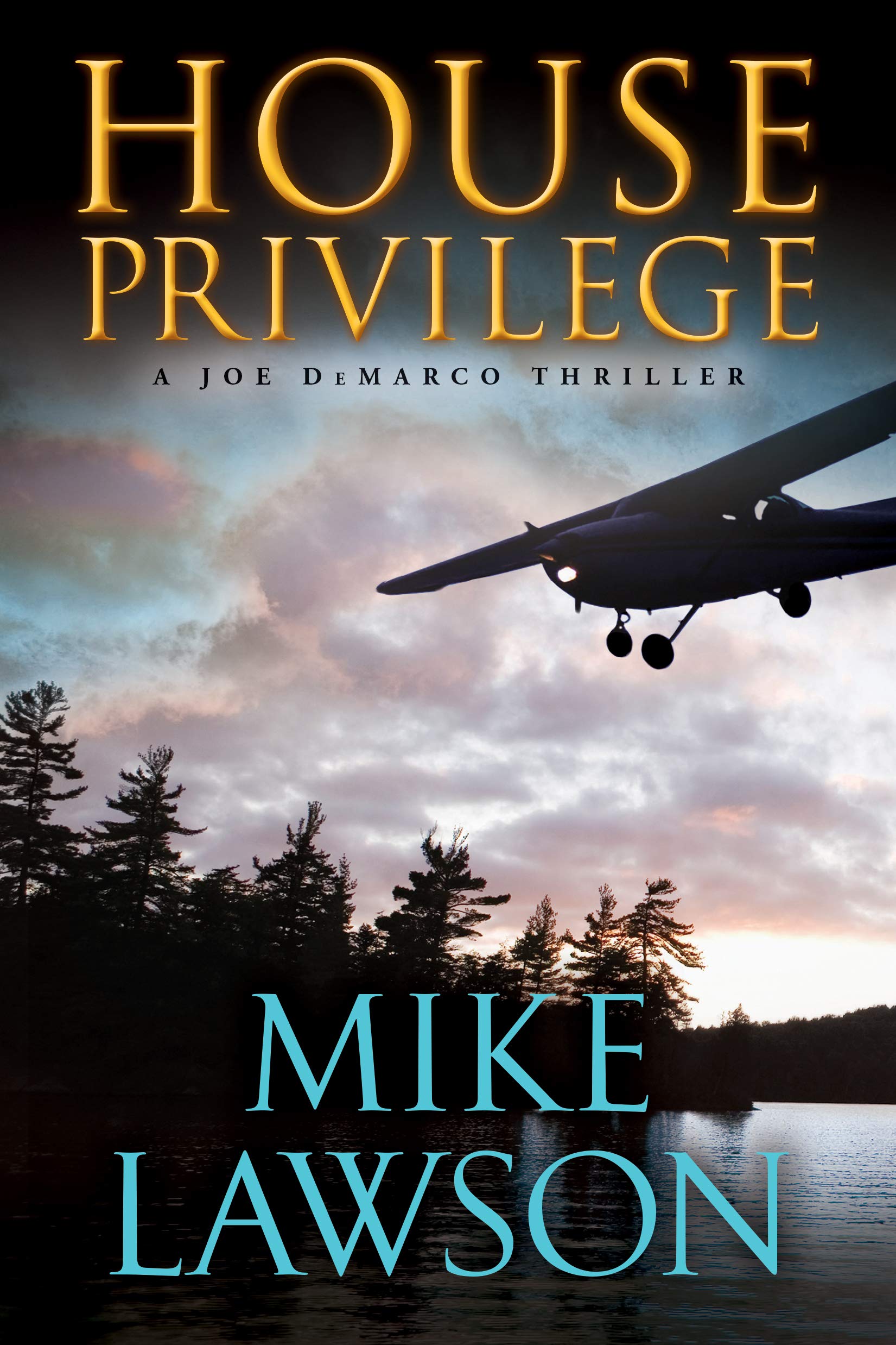 House Privilege: A Joe Demarco Thriller (Joe DeMarco, 14, Band 14) Action & Adventure