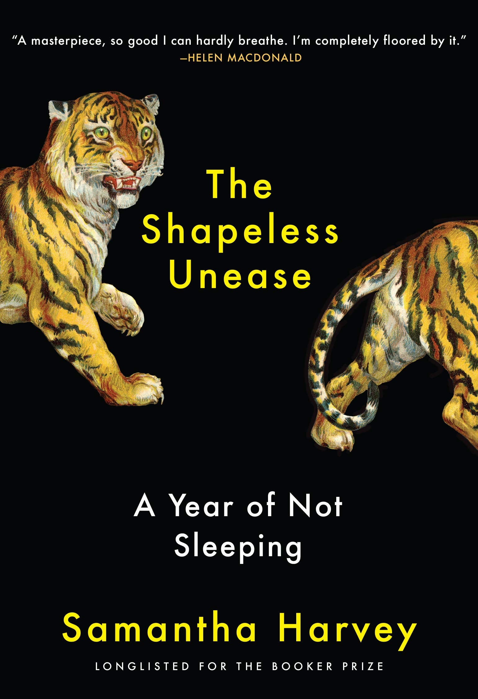 The Shapeless Unease: A Year of Not Sleeping Medicine