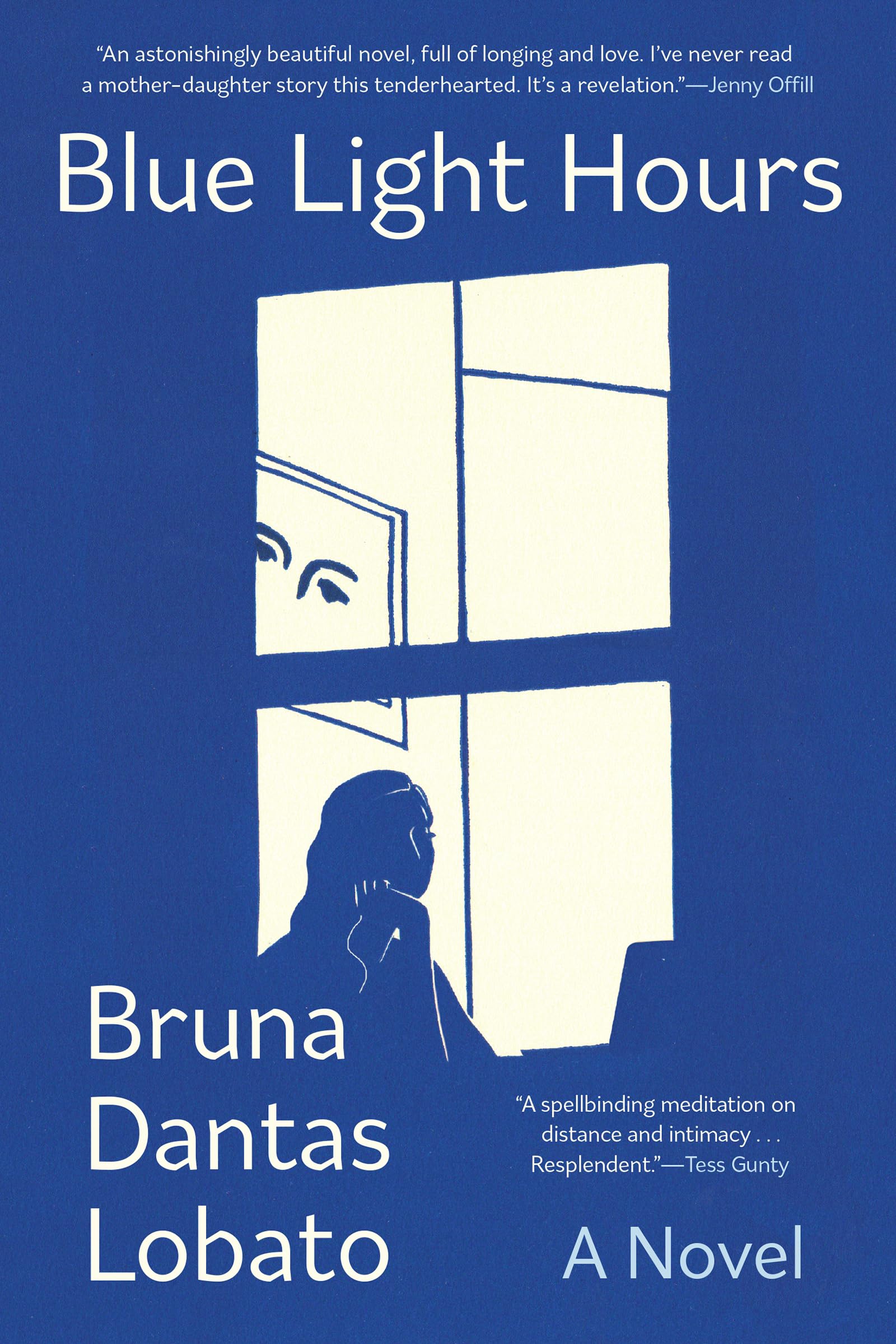 Blue Light Hours Contemporary literature Books