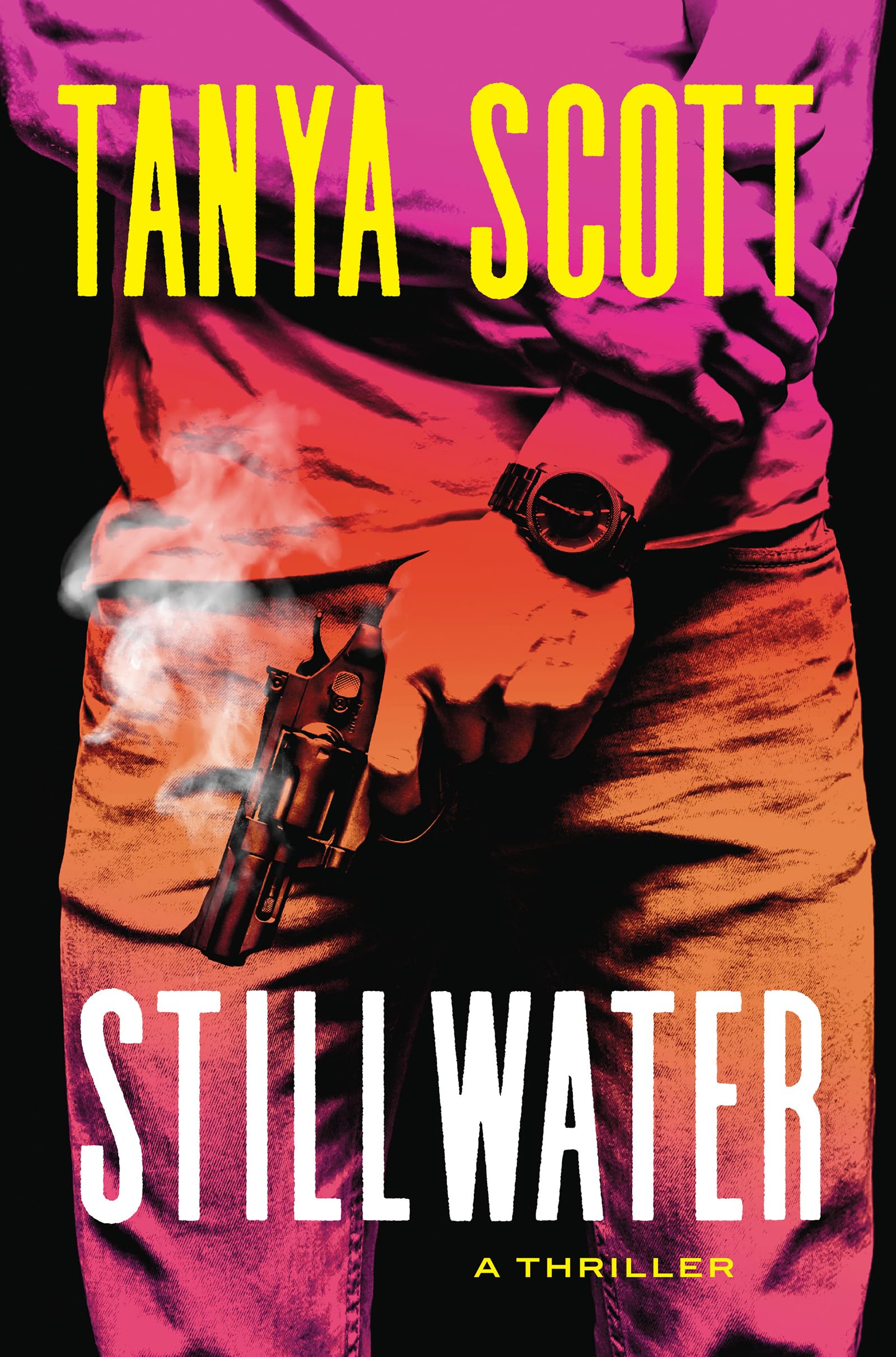 Stillwater: A Luke Harris Thriller (A Luke Harris Thriller, 1) Contemporary literature