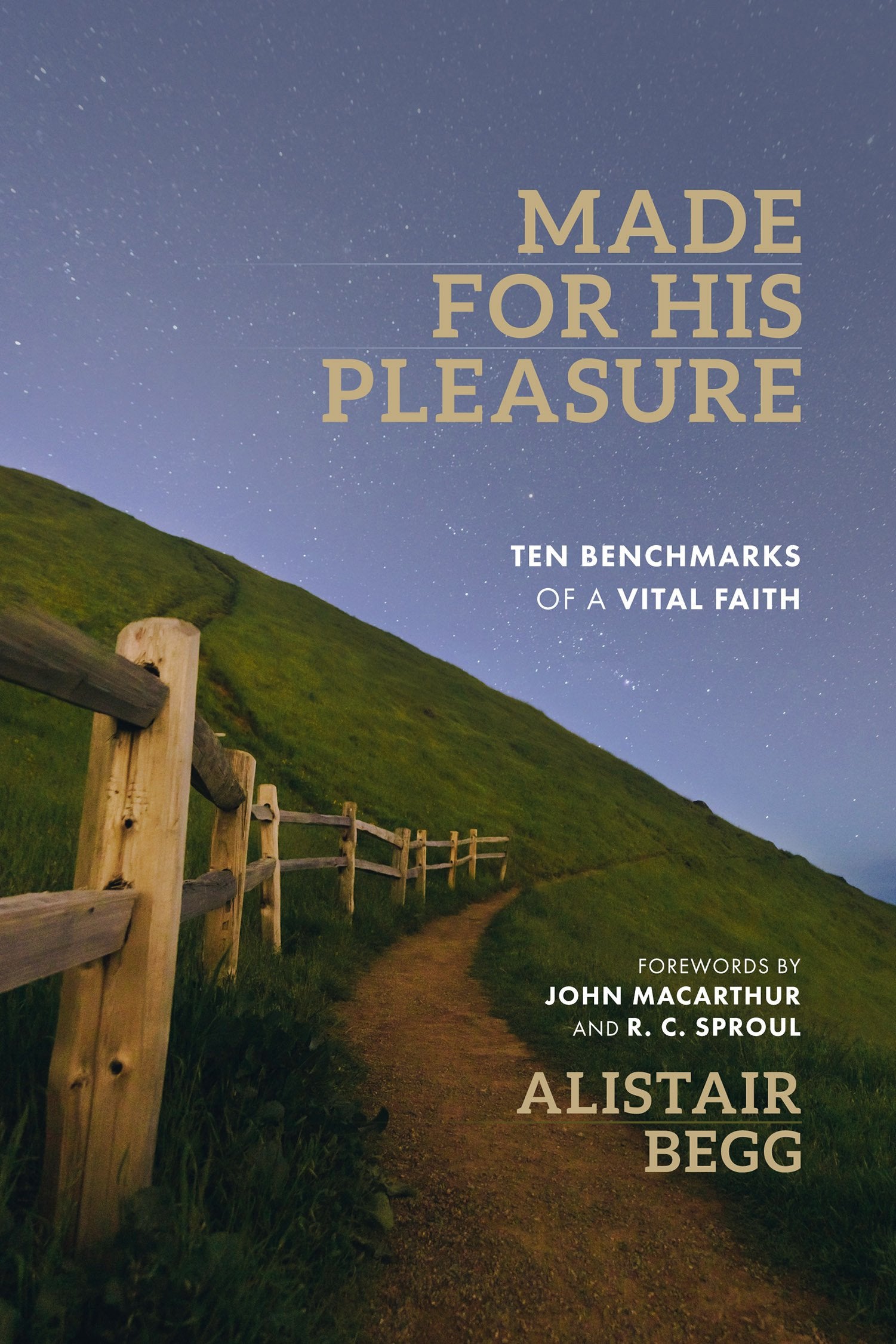 Made for His Pleasure: Ten Benchmarks of a Vital Faith Religion & Esotericism