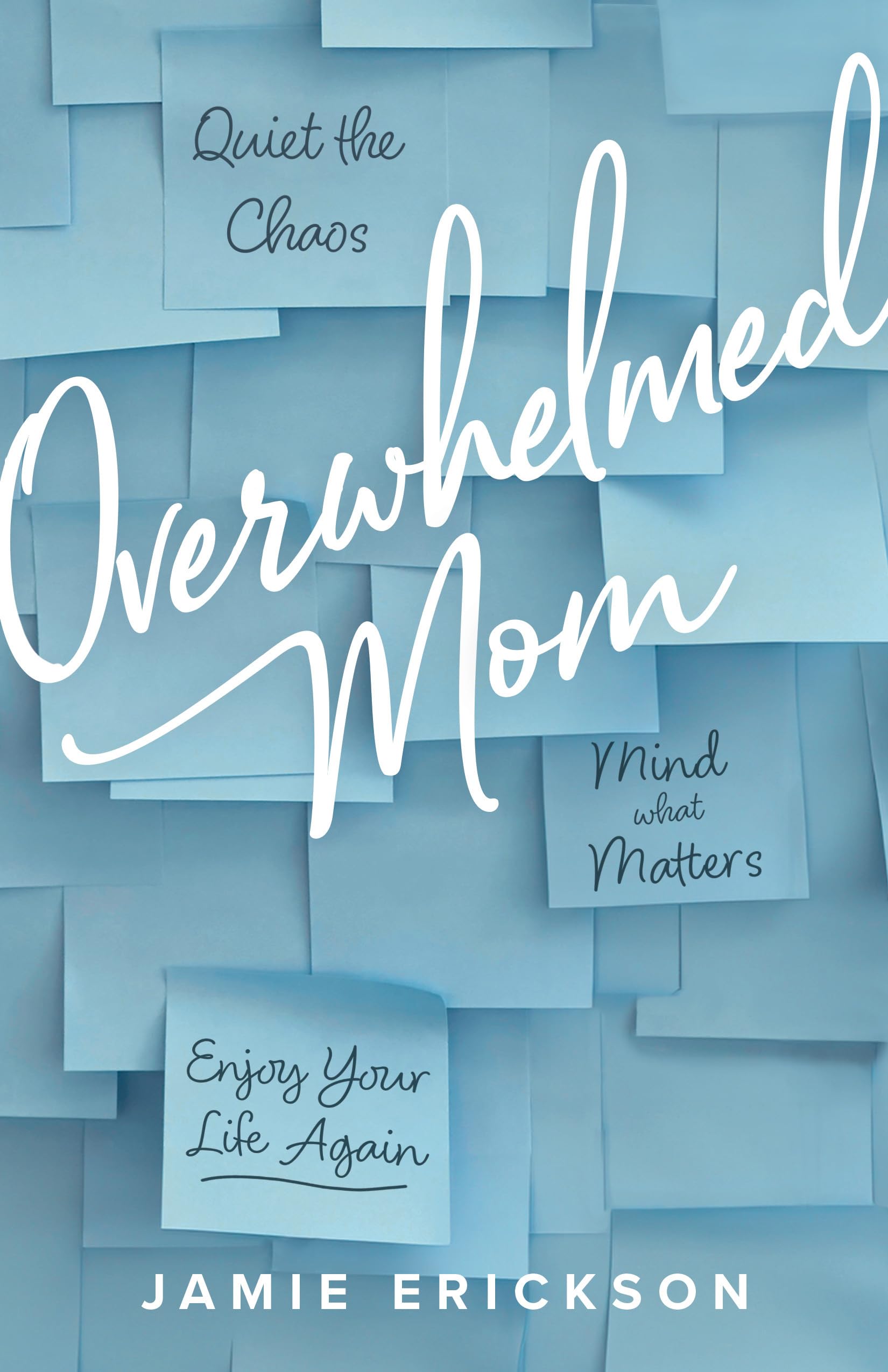 Overwhelmed Mom: Quiet the Chaos, Mind What Matters, and Enjoy Your Life Again Books