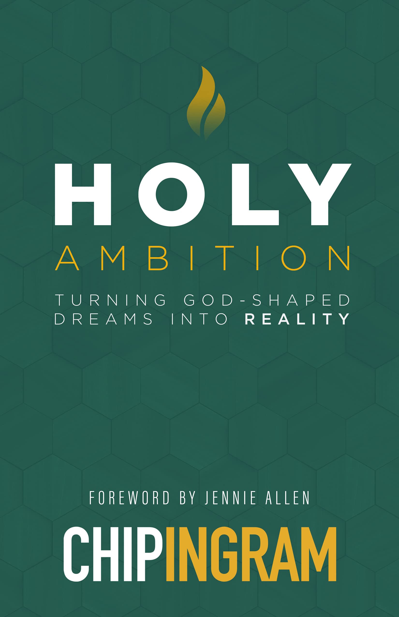 Product Image: Holy Ambition: Turning God-shaped Dreams into Reality