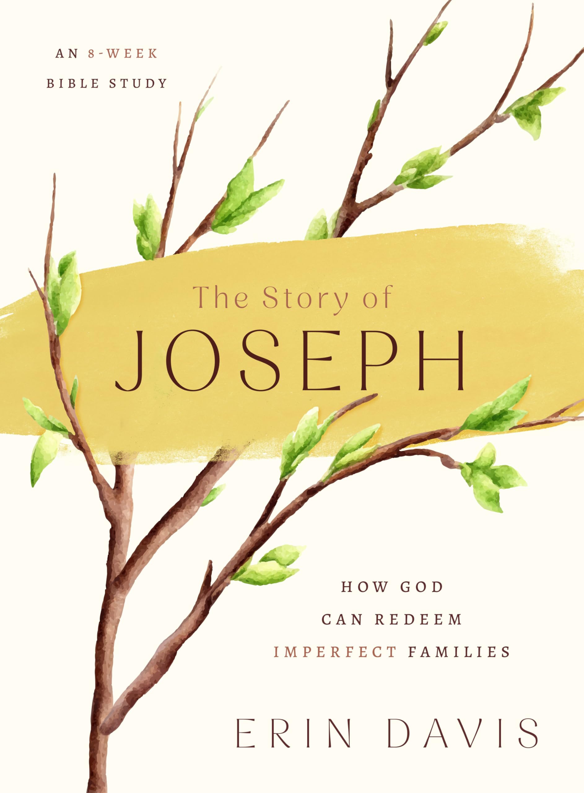 The Story of Joseph: How God Can Redeem Imperfect Families; an 8-Week Bible Study Religion & Esotericism