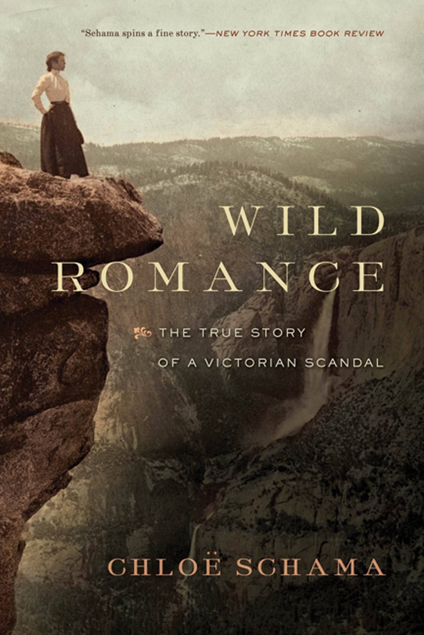 Wild Romance: A Victorian Story of a Marriage, a Trial, and a Self-Made Woman Politics & History