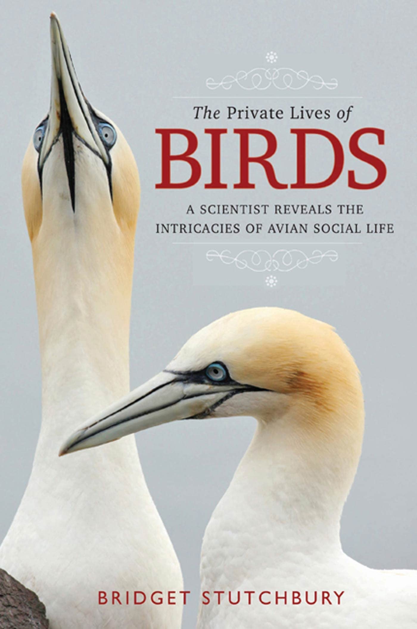 The Private Lives of Birds: A Scientist Reveals the Intricacies of Avian Social Life Mathematics